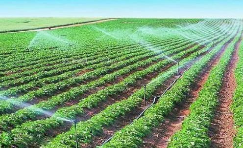 女人的骚逼里的视频农田高 效节水灌溉